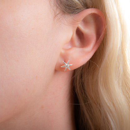 Sterling Silver & CZ Crystal Star Stud Earrings