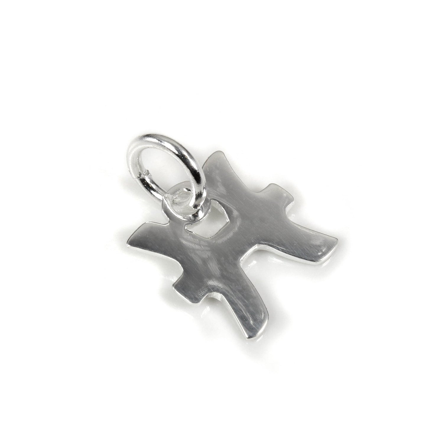 Small Sterling Silver 2D Signs of the Zodiac Symbol Charms
