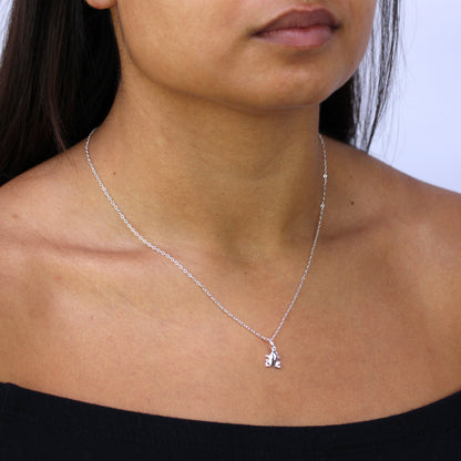 Sterling Silver Frog Necklace 16 - 22 Inches