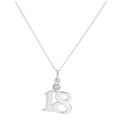 Sterling Silver 18 Pendant with Clear CZ Crystal Heart on Chain 16 - 24 Inches