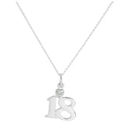 Sterling Silver 18 Pendant with Clear CZ Crystal Heart on Chain 16 - 24 Inches