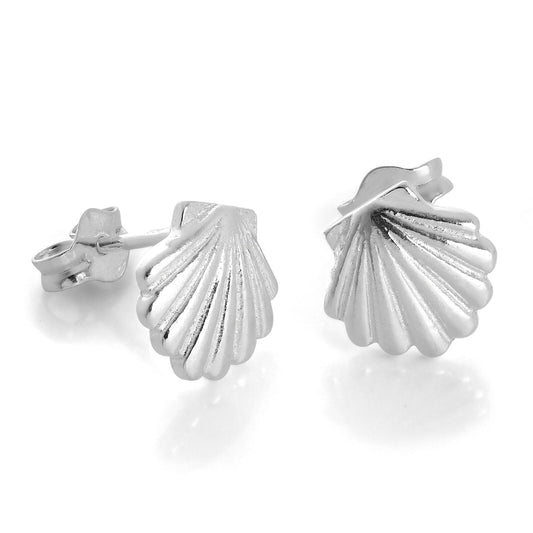 Sterling Silver Sea Shell Stud Earrings