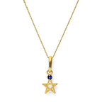 9ct Gold & Sapphire CZ Crystal Pentagram Star Pendant Necklace