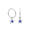 Sterling Silver CZ Crystal Birthstone Star 10 - 22mm Sleeper Hoop Earrings