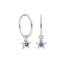 Sterling Silver CZ Crystal Birthstone Star 10 - 22mm Sleeper Hoop Earrings