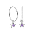 Sterling Silver CZ Crystal Birthstone Star 10 - 22mm Sleeper Hoop Earrings